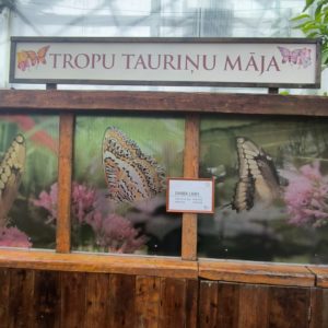 Photo 6 - Latvijas Universitātes Botāniskais dārzs