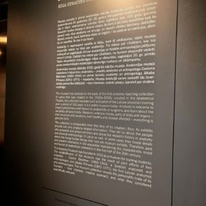 Photo 2 - RSU Anatomijas muzejs