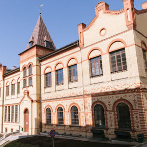 Photo 5 - Aldara alus muzejs