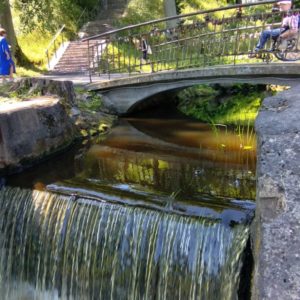 Photo 1 - Arkādijas parks