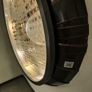 Photo 8 - Latvian Museum of Natural History