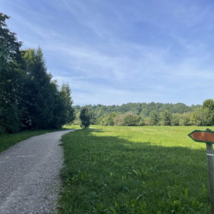 Photo 5 - Čužu purva dabas taka