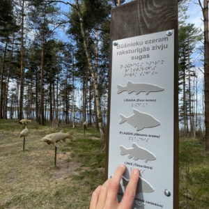 Photo 12 - Būšnieki järve loodusrada