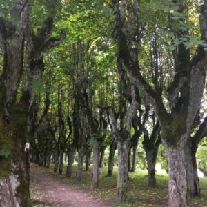 Photo 1 - Path at Katvaru Manor Park