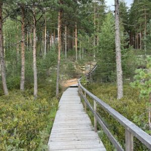 Photo 3 - Meenikunno Trail