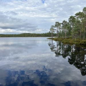 Photo 1 - Meenikunno Trail