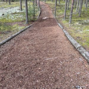 Photo 6 - Meenikunno Trail