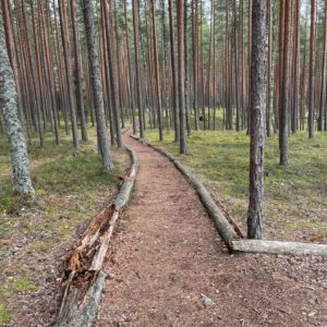 Photo 5 - Meenikunno Trail