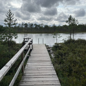 Photo 7 - Meenikunno Trail