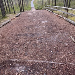 Photo 4 - Meenikunno Trail