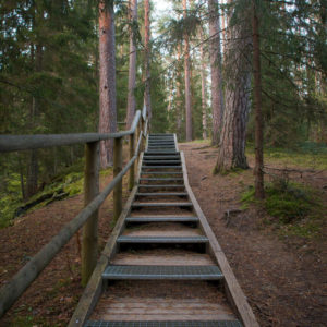 Photo 9 - Taevaskoja Trail