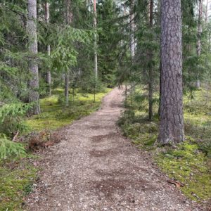Photo 8 - Taevaskoja Trail