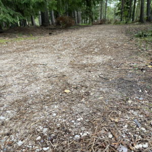 Photo 9 - Valgesoo Nature Trail