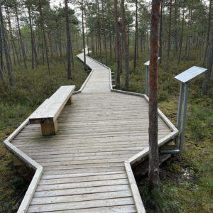 Photo 8 - Valgesoo Nature Trail