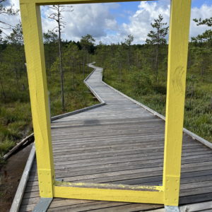 Photo 1 - Valgesoo Nature Trail