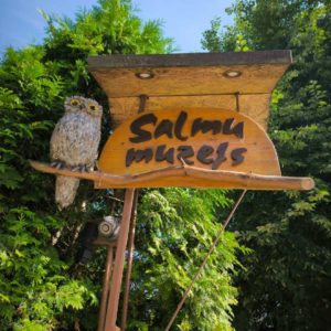 Photo 2 - Salmu muzejs