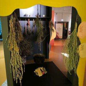 Photo 8 - Vides izglītības centrs “Botania”