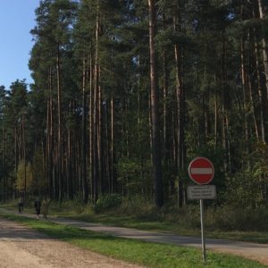Photo 7 - Nature trails around Olaine – 1 day