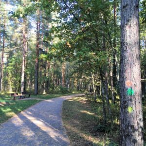 Photo 2 - Nature trails around Olaine – 1 day