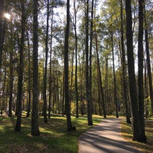Photo 3 - Nature trails around Olaine – 1 day