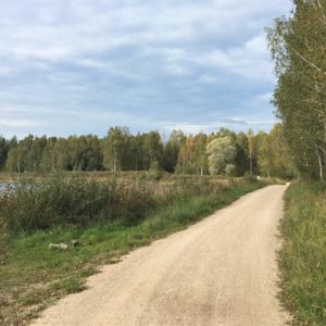 Photo 23 - Nature trails around Olaine – 1 day