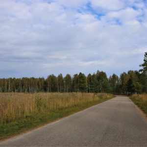 Photo 17 - Nature trails around Olaine – 1 day