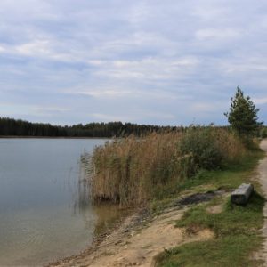 Photo 21 - Nature trails around Olaine – 1 day
