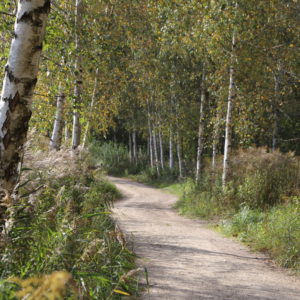 Photo 8 - Nature trails around Olaine – 1 day