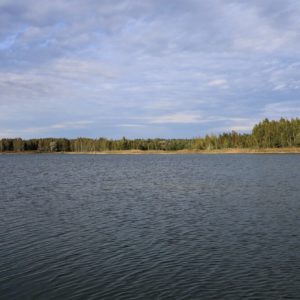 Photo 19 - Nature trails around Olaine – 1 day