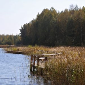 Photo 15 - Nature trails around Olaine – 1 day