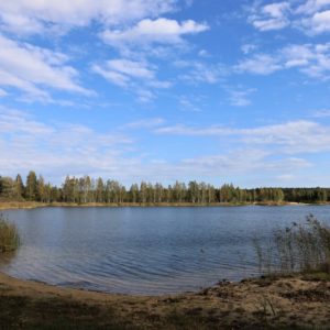 Photo 14 - Nature trails around Olaine – 1 day