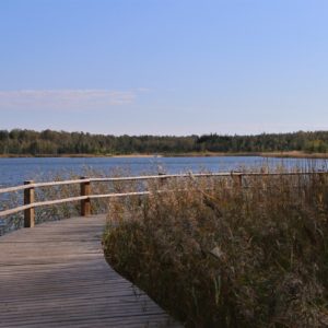 Photo 11 - Nature trails around Olaine – 1 day