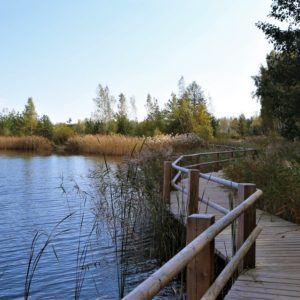 Photo 9 - Nature trails around Olaine – 1 day