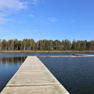 Photo 18 - Nature trails around Olaine – 1 day