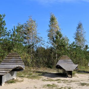 Photo 12 - Nature trails around Olaine – 1 day