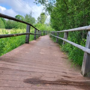 Photo 2 - Nature and history in Cēsis – 1 day