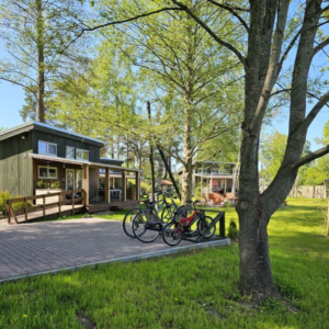 Photo 11 - Mērsraga Ragakrasts