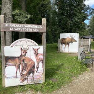 Photo 5 - Elistveres dzīvnieku parks un pārgājienu taka