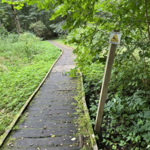 Photo 6 - Elistveres dzīvnieku parks un pārgājienu taka