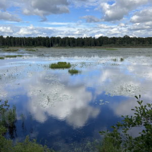 Photo 7 - Elistveres dzīvnieku parks un pārgājienu taka