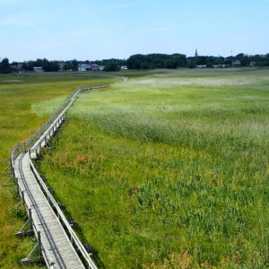 Photo 18 - Nature trails in Liepāja – 1 day