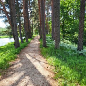Photo 9 - Valmiera – no vēstures līdz dabai (1 diena)