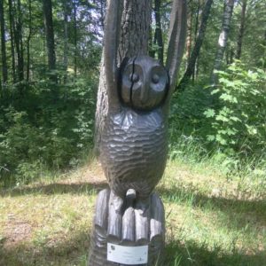 Photo 10 - Valmiera – no vēstures līdz dabai (1 diena)
