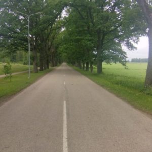 Photo 12 - From Dikļi to Vīsraga nature trail in Burtnieki – 1 day