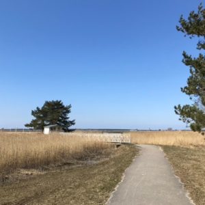 Photo 2 - Romantiskā Hāpsalu – 1 diena