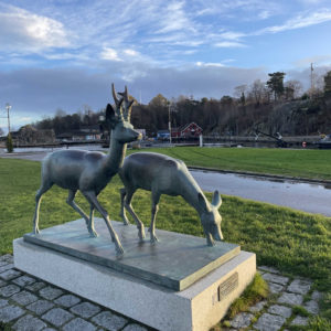 Photo 2 - Kristiansannas promenāde (Norvēģija)