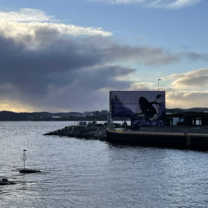 Photo 4 - Kristiansannas promenāde (Norvēģija)