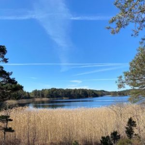 Photo 1 - Kvernhusvannet dabas taka (Norvēģija)
