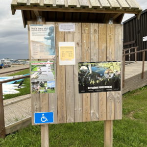 Photo 8 - Räpina beach