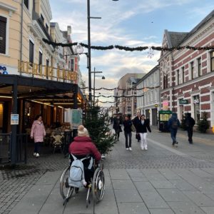 Photo 10 - Environmental Accessibility in Urban and Natural Spaces – Kristiansand, Norway